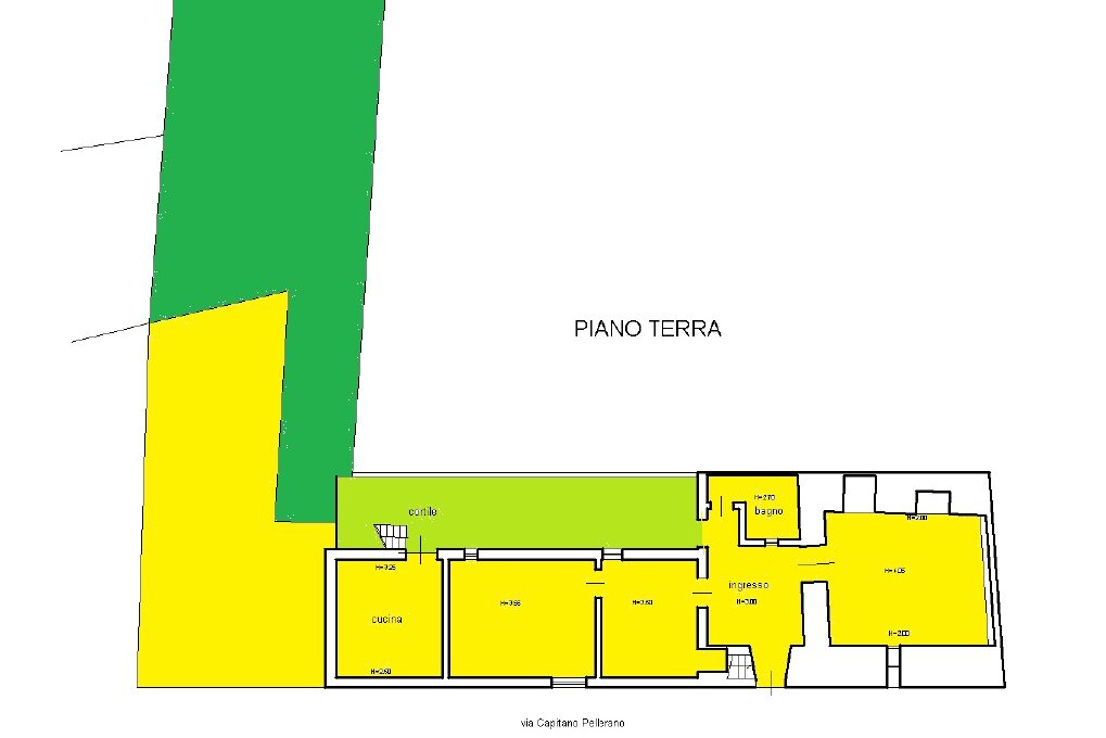 PIANTA